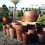 Fibreglass Planters and Pots